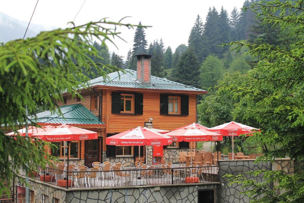 Ayder Avusor Hotel Exteriör bild