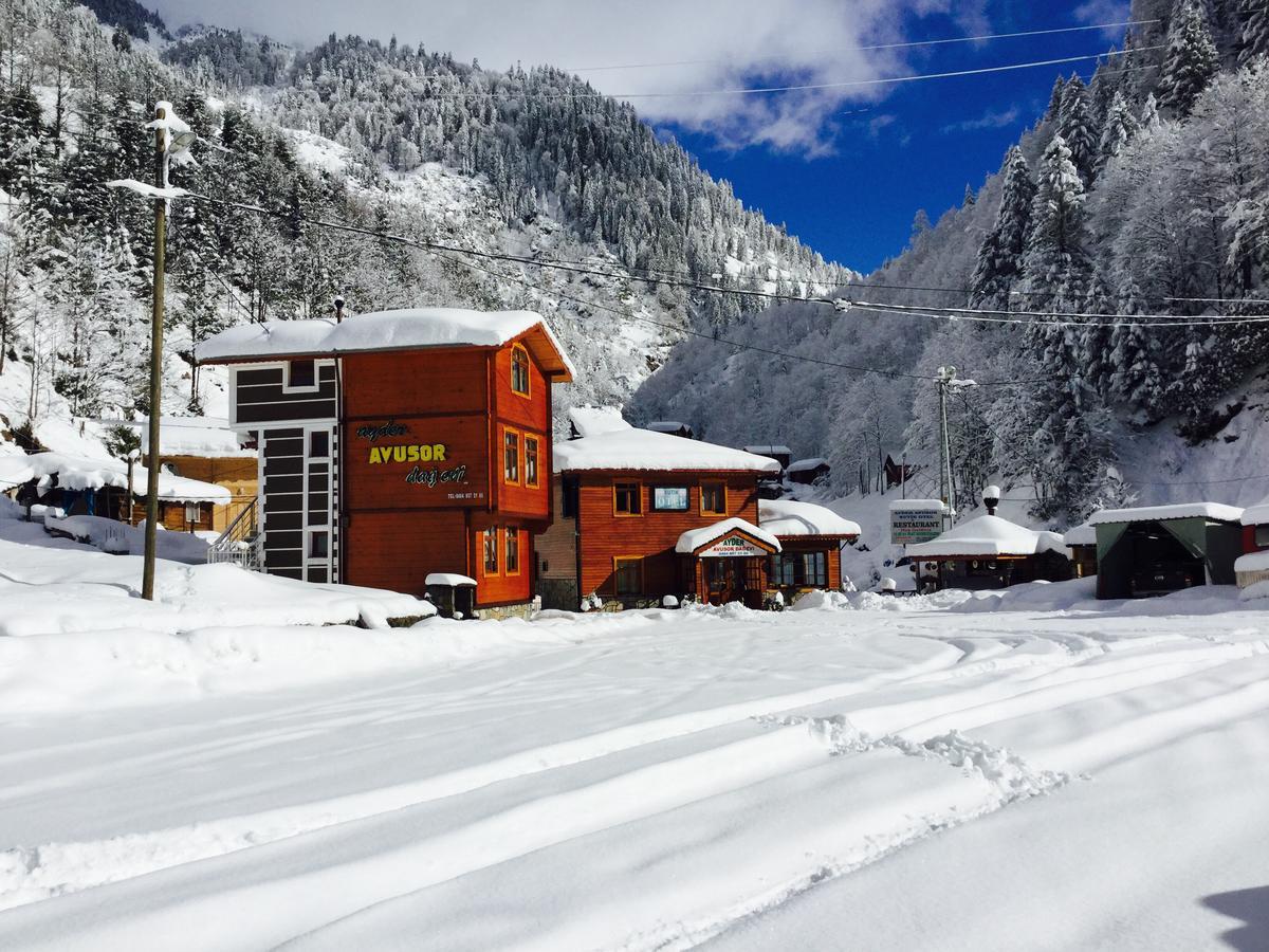 Ayder Avusor Hotel Exteriör bild